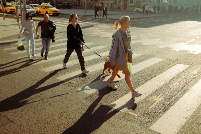 Reduce speed in Miami pedestrian crossings.